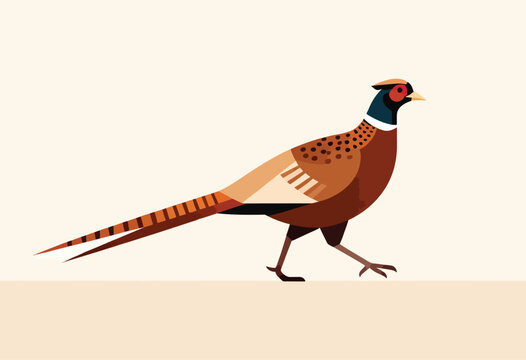 Stylized illustration of a pheasant walking rightward, featuring geometric shapes and a warm color palette