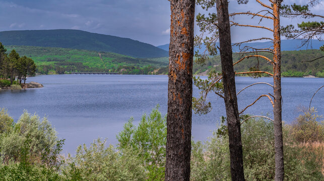 Pita Beach Recreation Area, Pantano de la Cuerda del Pozo Reservoir, Soria, Castilla Y Le&oacute;n, Spain, Europe