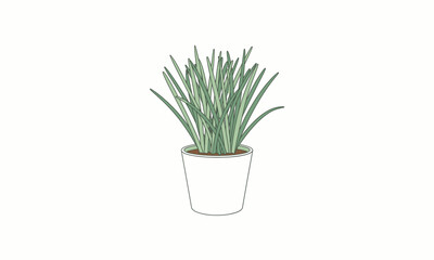 Stylized illustration of a green houseplant with long, spiky leaves in a simple white pot.