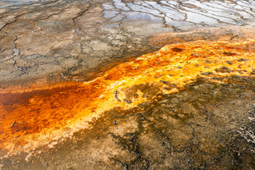 Thermal Bacteria Mats at Grand Prismatic Spring in Yellowstone