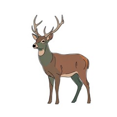 Fototapeta premium Male deer standing with antlers on a white background 