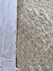 Divine Message Jesus Is God Written in Frost on a Cold Winter Morning