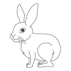 Obraz premium Rabit Cartoon Icon