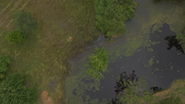 Aerial of green farmland forest patch around pond, top down textured background slow diagonal downward movement