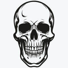 Fototapeta premium scull sketch illustration vector