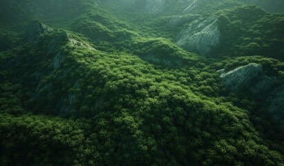 Aerial view of green mountains covered with dense bamboo forests as sunlight shines through leaves creating atmosphere of vitality and tranquility