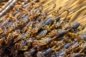 Edible scorpion insects sold on the street in China