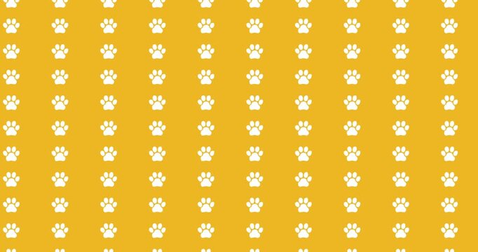 Dogs and paws pattern video