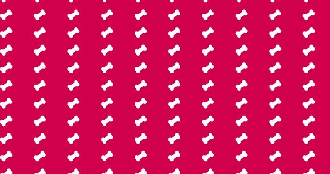 Dogs and paws pattern video