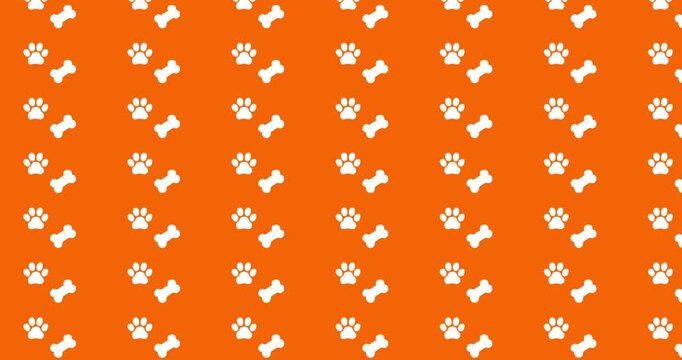 Dogs and paws pattern video