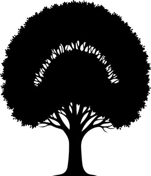 tree, silhouette, vector, black, illustration, nature, forest, plant, minimalist, simple, leafless, branches, bare, design, clean, natural, art, graphic, icon, symbol, botanical, woodland, flora, orga