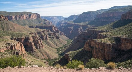 Naklejka premium A vast canyon vista reveals layered rock formations under a clear blue sky