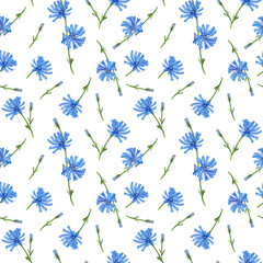blue chicory flowers, seamless botanical pattern, watercolor illustration for design, packaging, textiles, and dishes