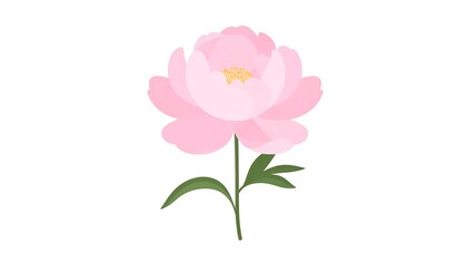 Obraz premium Illustration of a delicate pink peony flower with a green stem and leaves isolated on a white background