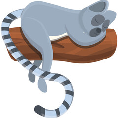 Gray Lemur Sleeping Peacefully on a Brown Wooden Branch with Striped Tail Curled Around it Against a Transparent Background