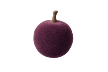 Fuzzy purple fruit with natural stem transparent background