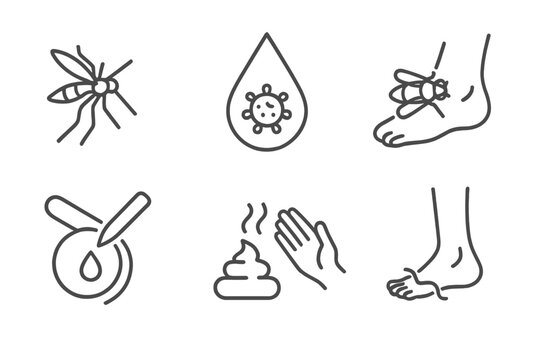 Vector Transmission Icons. Line style icons of Vector-Borne Transmission: biting insect, contaminated water droplet, fly on skin,