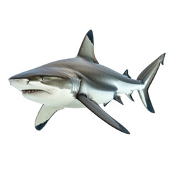Obraz premium A detailed render of a shark isolated against a pure black background.