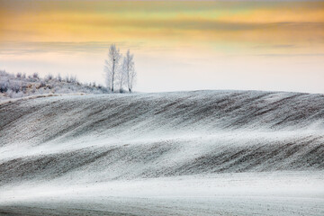 Pola Warmii w Szronach  - Polska 
