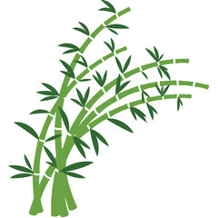 Green Bamboo Stalks with Long Slender Leaves and a Curved Stem Pattern Against a White Background Natural Botanical Illustration