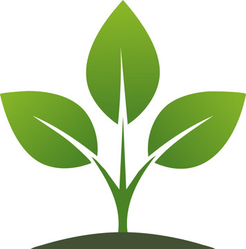 A simple green plant icon showing three fresh leaves growing from soil symbolizing nature growth