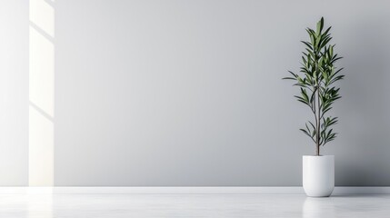 Minimalist interior with a tall potted green plant against a light gray wall sun casting shadows