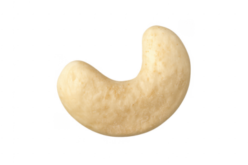 Single raw cashew nut isolated on transparent background