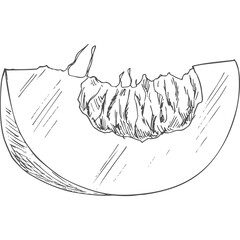 Detailed Sketch Of A Juicy Peach Slice With Visible Seeds And Textured Flesh On A White Background Hand Drawn Fruit Illustration For Healthy Eating And Recipes
