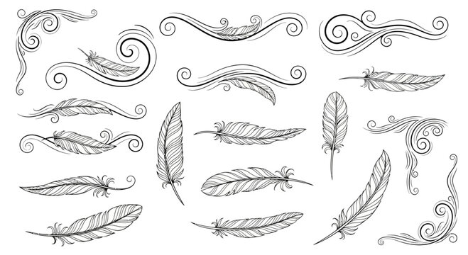 Elegant swirling feather designs for creative projects and artistic flair, perfect for invitations, stationery, and bohemian inspired designs with a vintage touch