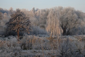 Hoarfrost on the Lake