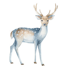 Watercolor Winter Deer Illustration with Soft Blue and Brown Tones for Seasonal Designs