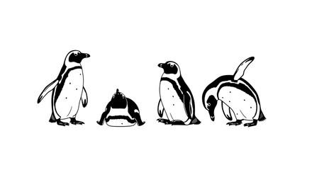 Obraz premium Group of penguins in different poses with transparent background