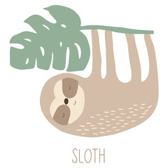 Naklejka premium Cute cartoon sloth relaxing hanging on tropical leaf branch
