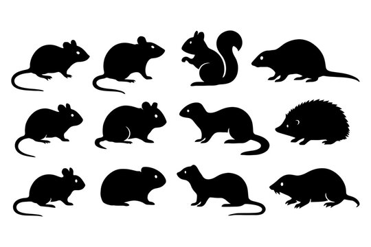 Silhouettes of various small mammals including mouse, squirrel, and hedgehog.