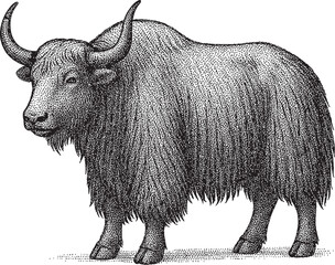 Halftone Yak Illustration – Detailed Black and White Mountain Animal Drawing