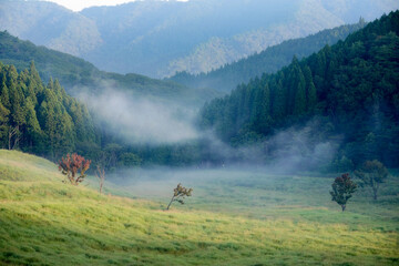 砥峰高原の朝の風景
