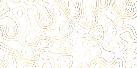 Fototapeta premium Topographic canyon geometric map relief texture with curved layers and shadow .Abstract geometric topographic contour map background. Panorama view gradient multicolor wave curve