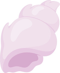 illustration seashell