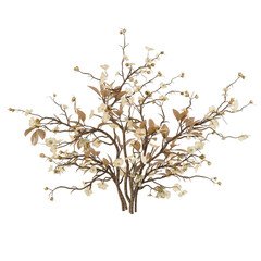 tree isolated on white