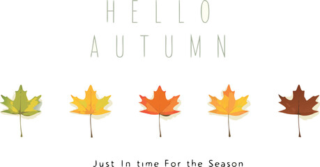 Autumn banner background design with colorful maple leaves in gradient shades for seasonal advertising and marketing use.