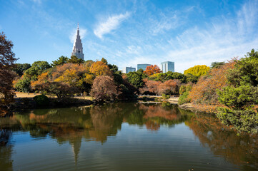 都市と自然が交わる秋の景観