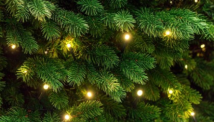 Christmas Tree Branches with Warm Lights on Green Background