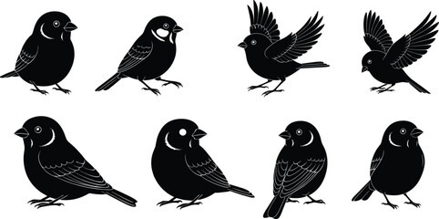 PrintBird silhouette, black white illustration, flying and standing poses, animal vector, minimal design, nature icon, feather detail, wildlife art