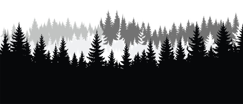 PrintLayered Forest Silhouette Vector Panorama: Multi-Layered Pine, Spruce, and Conifer Trees Creating Depth, Mist, Fog, and Atmospheric Wilderness Landscape Background Design.