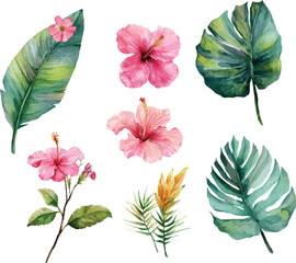 collection of flowers and green leaf