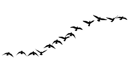 Flock of Birds Flying in V Formation Against a White Background
