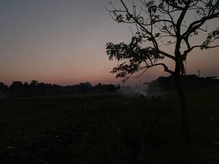 Dusk over a rural landscape with a lone tree
