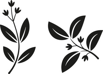 Elegant botanical leaf sprigs with budding flowers, minimalist natural foliage silhouette illustration for modern decorative vector design elements