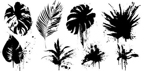 Fototapeta premium Black ink splatter tropical leaf silhouettes illustration set for artistic design