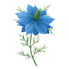 Flat 2D Nigella Flower vector illustration, icon graphic on white background